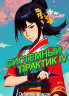 Системный практик IV СИ