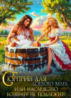 Сюрприз для боевого мага или Наследство возврату не подлежит