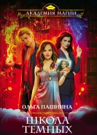 Школа темных Ангел шторма  Ольга Пашнина