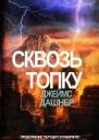 Сквозь Топку