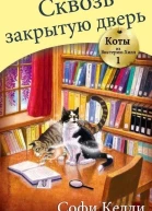 Сквозь закрытую дверь ЛП