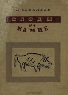Следы на камне