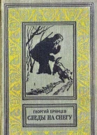 Следы на снегу