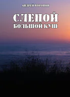 Слепой Большой куш