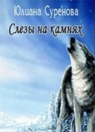 Слезы на камнях СИ