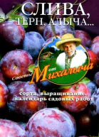 Слива терн алыча Сорта выращивание календарь садовых работ