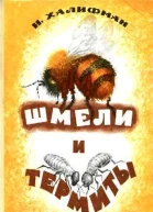 Шмели и термиты
