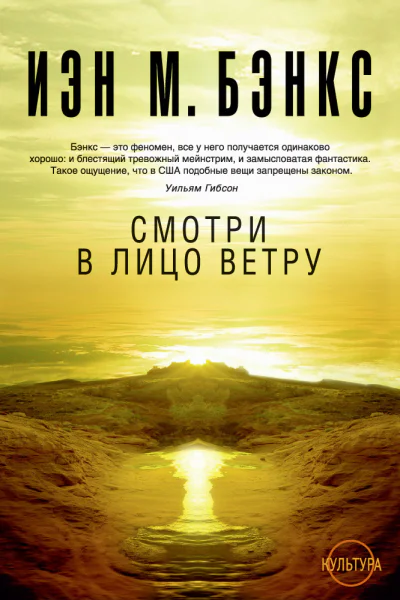 Смотри в лицо ветру роман  Иэн М Бэнкс
