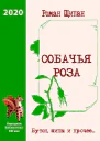Собачья роза Бутон шипы и прочее