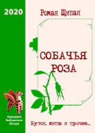 Собачья роза Бутон шипы и прочее