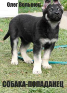 Собакапопаданец