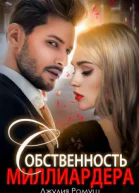Собственность Миллиардера
