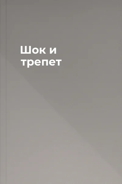 Шок и трепет