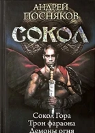 Сокол