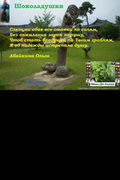 ШокоЛадушки СИ