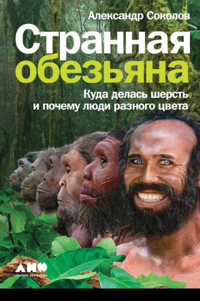 Соколов Александр Странная обезьяна Куда делась шерсть и почему люди разного цвета