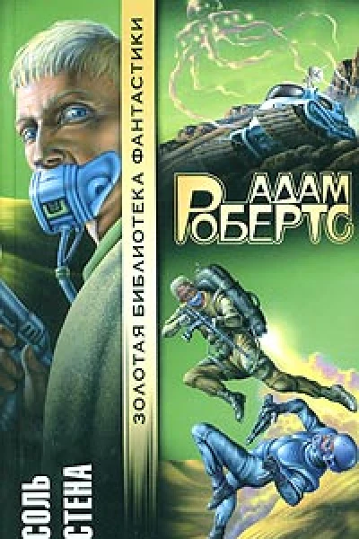 Соль Стена