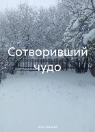 Сотворивший чудо
