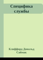 Специфика службы
