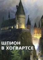 Шпион в Хогвартсе отрочество