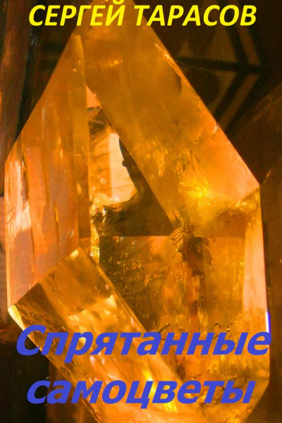 Спрятанные самоцветы