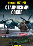 Сталинский сокол Комдив