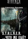 STALKER чего же ещё