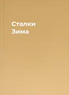 Сталки Зима