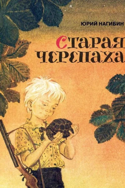 Старая черепаха