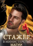 Стажёр в Министерстве Магии
