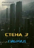 Стена 3 Гибрид
