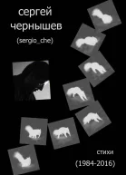 Стихи 1984  2016