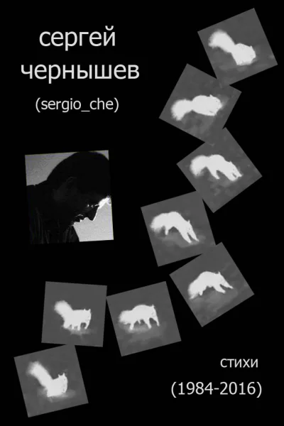 Стихи 1984  2016