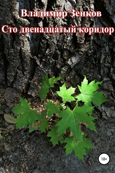 Сто двенадцатый коридор