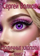 Столичные хлопоты Книга 2
