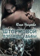Штормовой взгляд судьбы СИ