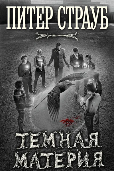 Страуб П Темная материя