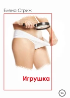 Стриж Елена Игрушка