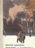 Сурские закаты