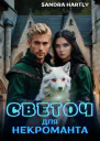 Светоч для Некроманта