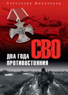 СВО Два года противостояния