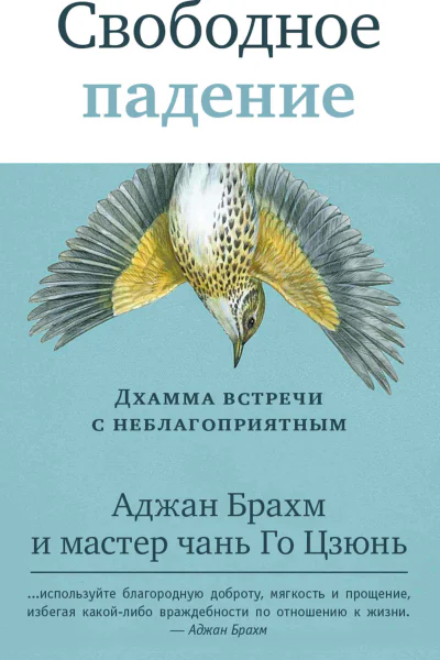 Свободное падение Дхамма встречи с неблагоприятным