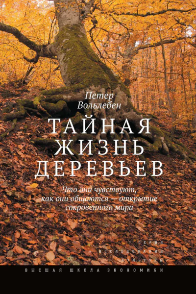 Тайная жизнь деревьев Что они чувствуют как они общаются  открытие сокровенного мира