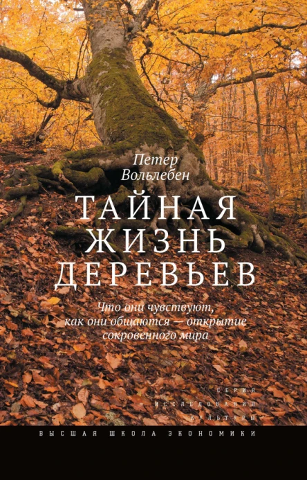 Тайная жизнь деревьев Что они чувствуют как они общаются  открытие сокровенного мира