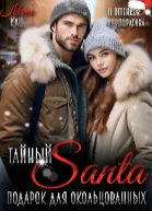 Тайный Санта Подарок для окольцованных