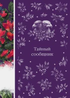 Тайный сообщник
