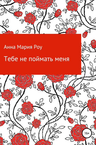Тебе не поймать меня СИ