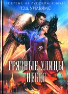 Тэд Уильямс Грязные улицы Небес