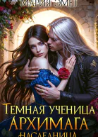 Темная ученица архимага Наследница