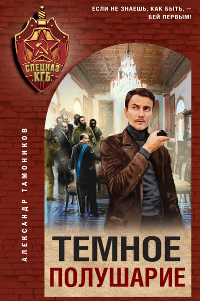 Темное полушарие
